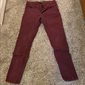 Burgundy pants